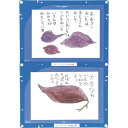 アーテック ArTeC 縦横連結掲示ホルダー A4(3614) 【品番:3614】(3)
