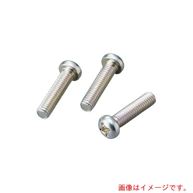 アズワン　AS　＋ナベ小ネジ　M6×14　鉄白　100本　【品番：4-289-68】