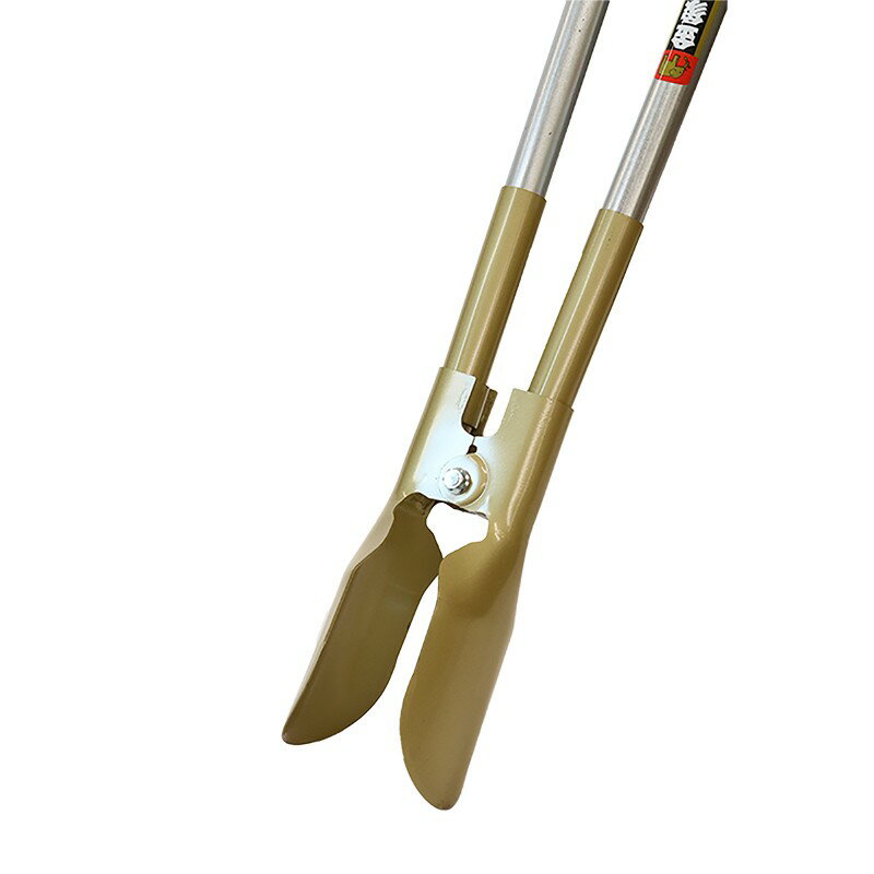 ���ṩ�ȡ���� �ۡ���ǥ������������֡�154921�ۡ�JAN��4960517154923��