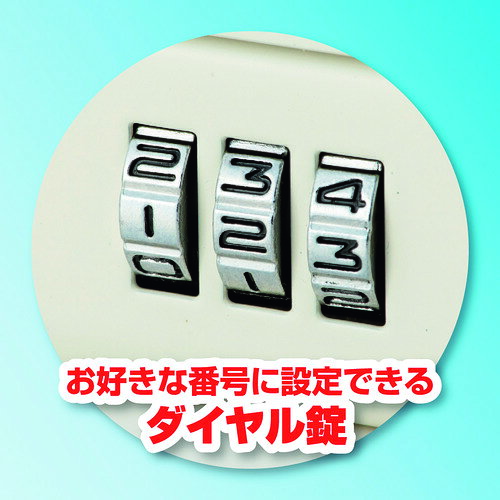 アスカ（Asmix）　安心保管ボックス　A5　【品番：SB100】