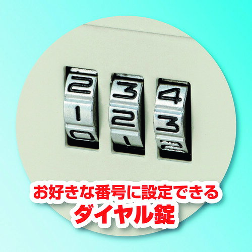 アスカ（Asmix）　安心保管ボックス　A4　スロットイン　【品番：SB300】