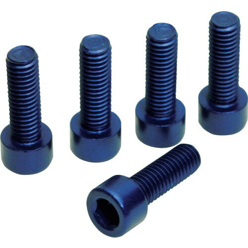 【メール便対応】ワールドツール（アストロプロダクツ）　5PC　ボトルケージ用ボルト　ブルー　（5個入..