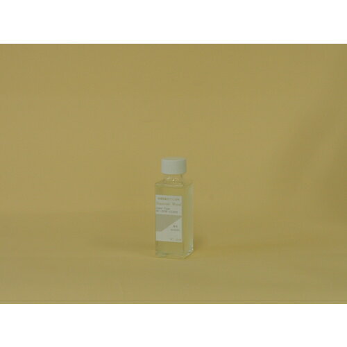 ۥӥ󥳥ѥBIANCOˡӥ󥳡W̵CLEAR100ml֡BC-101W