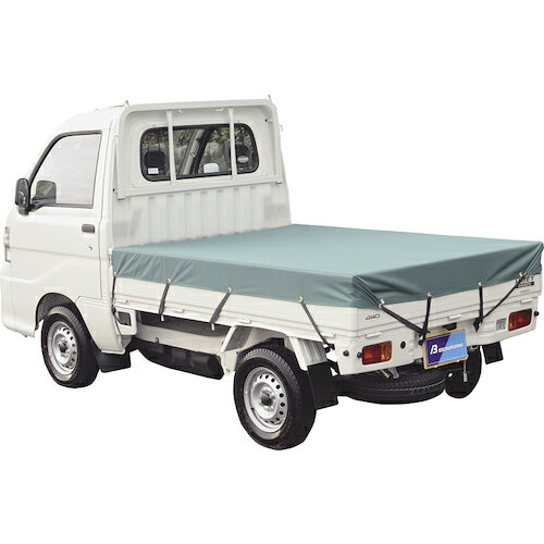 特長 ●平張り・スロープ張りの両方が可能、しっかり張れる補強加工済荷台シート 用途 ●軽トラ用品 材質 ●ポリエステル100％ 質量・質量単位 ●2.0kg 【メーカー名】（株）ボンフォーム 【メーカー品番】66500158