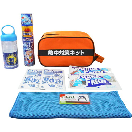ブレイン（BRAIN）　熱中対策キット　【品番：BR-810】