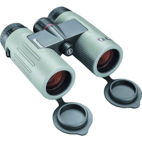 Bushnell 双眼鏡 ニトロ 10×36 【品番:BN1036G】