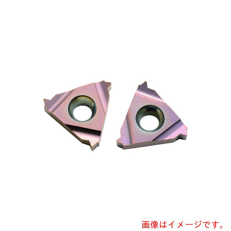 Carmex　NOGA　カーメックスねじ切り用チップ　【品番：16IRA60 HBA】