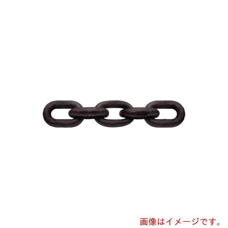 【別途送料あり】CM　チェーン　3／4インチ　30M　【品番：CM 3/4】