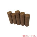 大研化成工業 樹脂製五連擬木段差200ベージュ 【品番:200X300DBE】