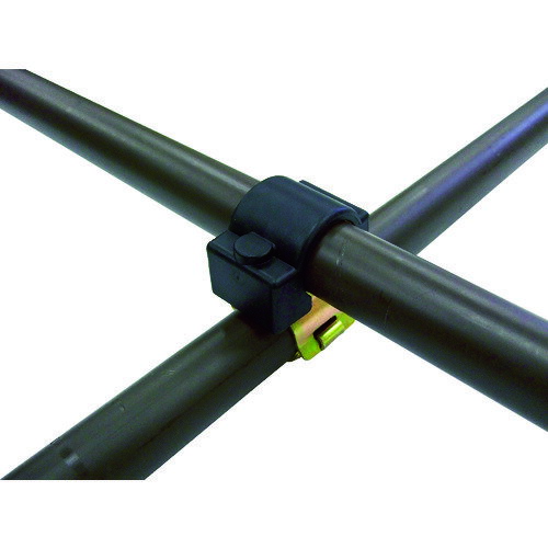 ���ӥˡ����DAIM�ˡ������ǥ󥢥���ѥ����ѥ����ץ��С��������֡�39678��