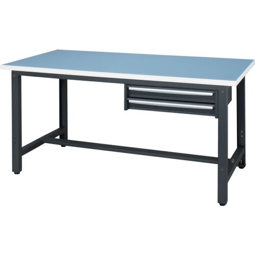 【別途送料あり】ダイシン工業（DAISHIN）　ロンリューム天板作業台　天板ライトグレー色　2段引出付き　【品番：WZR-15752】(4)