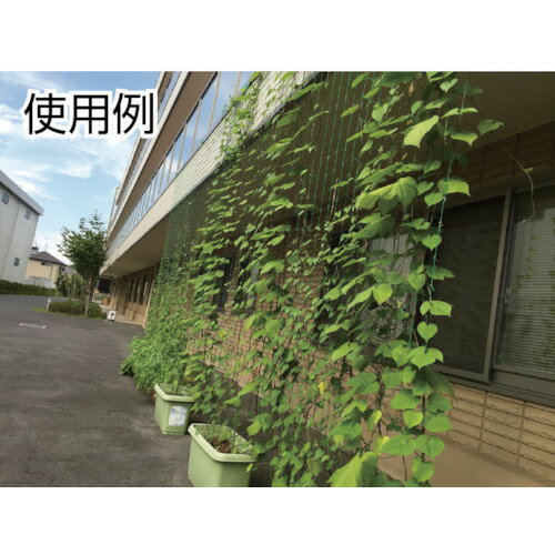 �ڥ᡼�����б��ۥ��Υ٥å�����Dio�ˡ��Ĥ��α�ݥͥå� �� 10cm���� ��1.8m��Ĺ��1.8m�������֡�260961��