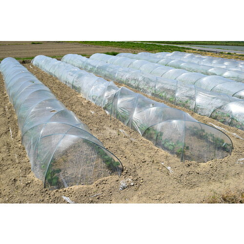 イノベックス（Dio）　防虫ネット　透明　1．8×5m　【品番：241298】