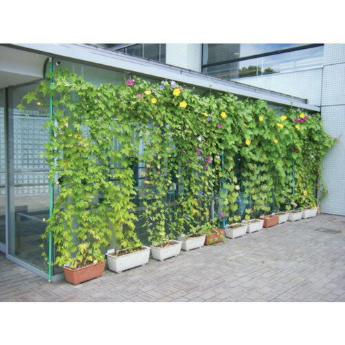 イノベックス（Dio）　つるもの園芸ネット　緑　10cm角目　1．8m×30m（Wタイプ）　【品番：301121】