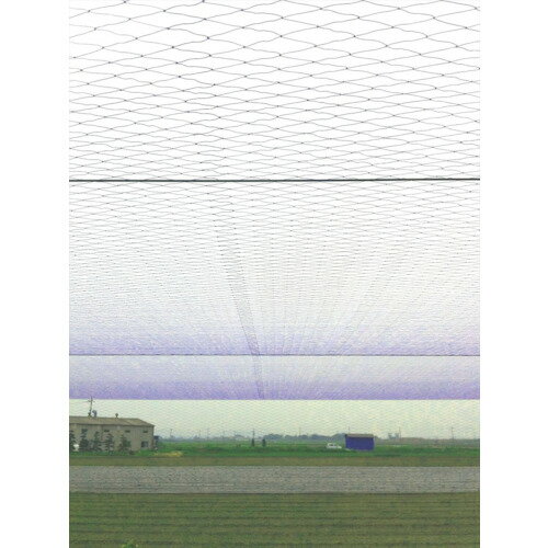 イノベックス（Dio）　強力防鳥網　目合い30mm　10坪　幅1．8×長さ18m　【品番：414333】