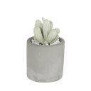 ダルトン（DULTON） CACTUS FRAGRANCE DIFFUSER SPRING FLOWER カクタス フレグランス ディフューザー 【品番：G875-959-SF】