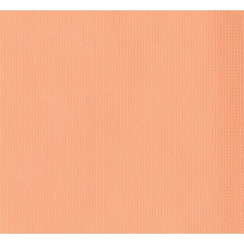 江部松商事　EBM　オリビア　テーブルクロス　シート　1500X1500（10枚入）オレンジ　【品番：1423212】