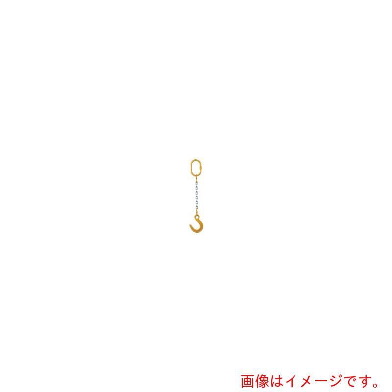特長 ●大口フック付です。 ●「プラスV級」ロードチェーンの採用でより安全になりました。（安全率5倍以上） ●過酷な使用条件にも強い特殊表面処理チェーンの採用で長寿命化を実現しました。 用途 ●荷役、運搬吊り作業。 仕様 ●基本使用荷重(t)：4.2 ●チェーン線径(mm)：13 ●有効長l(m)：2 ●マスターリンク寸法(mm)a：95 ●マスターリンク寸法(mm)b：141 ●マスターリンク寸法(mm)d：23 ●マスターリンク寸法(mm)p：163 ●ファンドリーフック寸法(mm)a：40 ●ファンドリーフック寸法(mm)b：20 ●ファンドリーフック寸法(mm)k：183 ●ファンドリーフック寸法(mm)n：87 ●ファンドリーフック寸法(mm)p：180 ●ファンドリーフック寸法(mm)s：42 ●ファンドリーフック寸法(mm)t：34 ●大口フック 材質 ●スチール 質量・質量単位 ●11.2kg 【メーカー名】象印チェンブロック（株） 【メーカー品番】1-MFF-YN-13