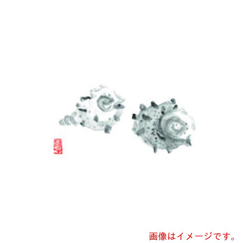 遠藤商事（TKG）　カミイソ　尺3　テーブルマット（100枚入）　さざえ　No．101　【品番：QTC46】