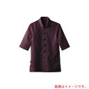 遠藤商事(TKG) サンペックスイスト 男女兼用ショップコート ET−7728 ブラウン L 【品番:SKC6303】