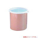 遠藤商事(TKG) キャンブロ カラークロックス (蓋付) CP12 ベージュ 【品番:LKL03126P】