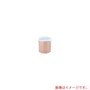 遠藤商事(TKG) キャンブロ カラークロックス (蓋付) CP27 ベージュ 【品番:LKL03276P】