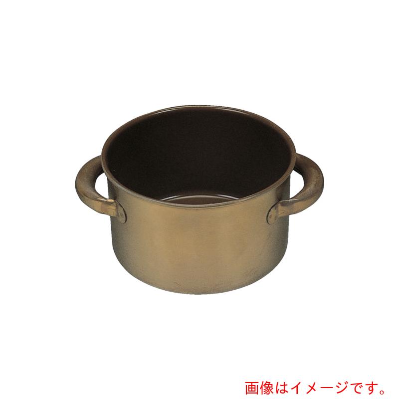 フロンケミカル　フッ素樹脂コーティングウォーターバス　特大　膜厚約50μ　10L　【品番：NR3028-004】