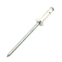 藤原産業 SK11 フリーサイズリベット 30入 FR-45 【品番:4977292217323】