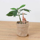 グリーンクロス パキラアサポットキリン 全長32cm 【品番:6300036521】