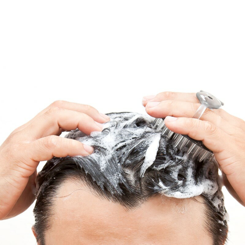 �ں߸˽�ʬ�ۥ��꡼��٥롡�����ס��֥饷�������֡�SE-026��