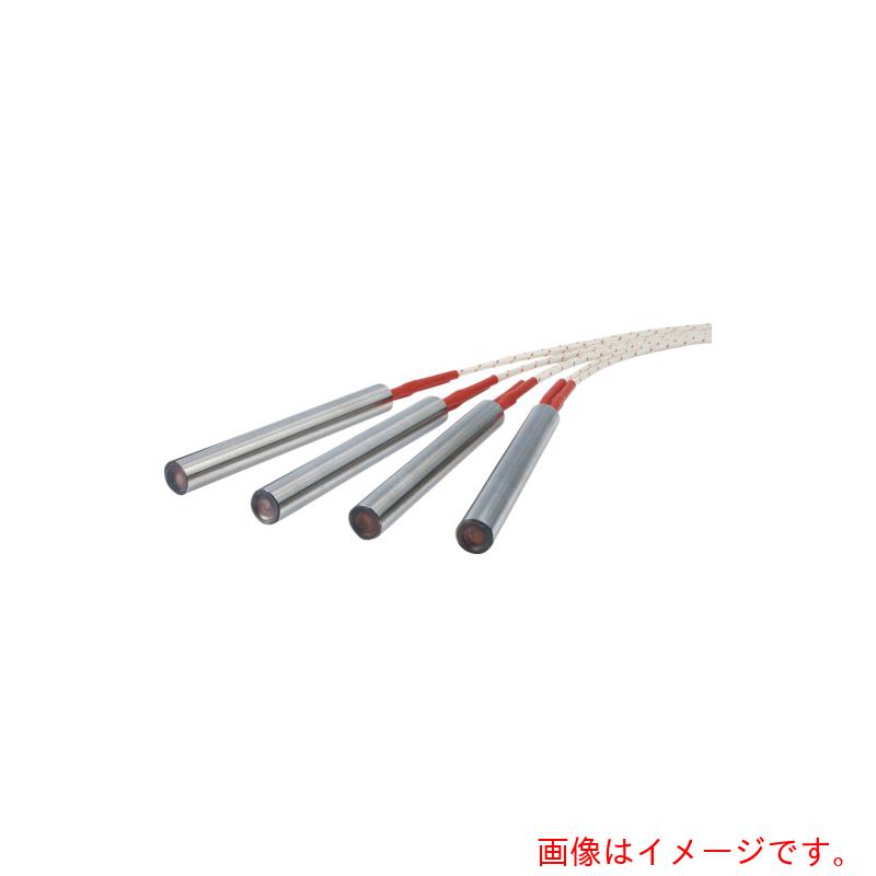 八光電機（HAKKO）　ウルトラファイブ　HL型　単相200V用　φ14．0L100　250W　【品...