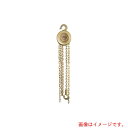 ハマコS.S 防爆 チェーンホイスト16t 【品番:CBCHO-16】