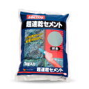 ヘンケルジャパン LOCTITE(ロックタイト) 超速乾セメント(灰色) 【品番:DCG-01K】