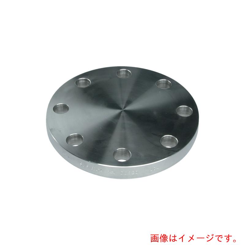 仕様 ●呼び径A：300 ●呼び径B：12 ●外径(mm)：445 ●厚さ(mm)：24 ●ボルト穴数(個)：16 ●ボルト穴径(mm)：25 ●使用圧力(K)：10 ●JIS B2220 材質 ●ステンレス(SUS304) 質量・質量単位 ●28.5kg 【メーカー名】イノック（株） 【メーカー品番】304BF10K300A