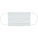 アイリスオーヤマ IRIS 296318 DAILY FIT MASK 小さめサイズ 30枚入 ホワイト 【品番:PN-DC30SW】
