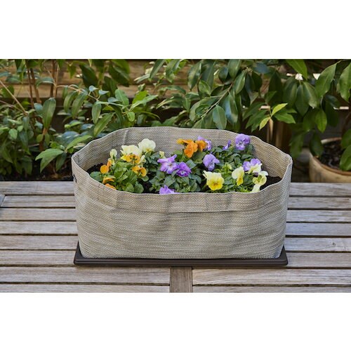 �����ꥹ������ޡ�IRIS��106458���ƥ���������ץ�󥿡���500�����졼���塡�����֡�TXP-S50H-H��