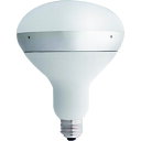 アイリスオーヤマ IRIS 248241 E26口金 バラストレス水銀灯代替(高効率) 1600lm 昼光色 (6500) ホワイト 防塵・防水 【品番:LDR1020V10D8-H/16WH2】