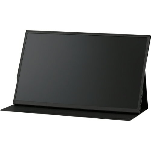 Other - アイリスオーヤマ　IRIS　110455　ポータブルモニター　15．6インチ　【品番：DP-EF164S-B】