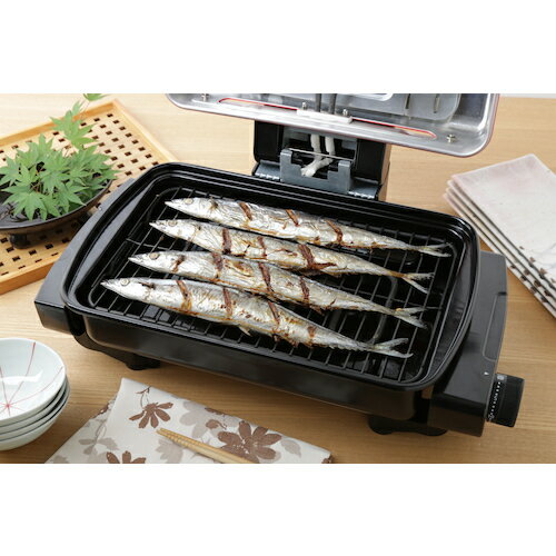 アイリスオーヤマ　IRIS　568672　マルチロースター　【品番：EMT-1101-R】