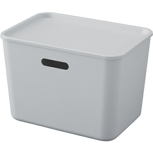 アイリスオーヤマ　IRIS　289215　フタ付きインナーボックス　FTIー38　グレー　【品番：FTI-38-H】