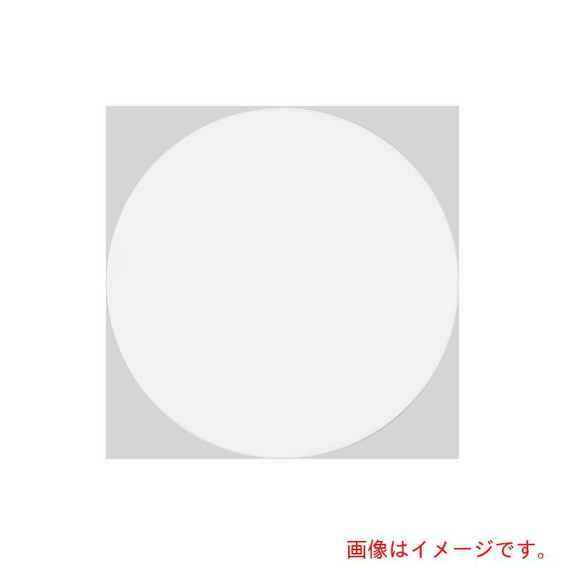 【メール便対応】岩田製作所（iwata）　ラインプロ　丸型シート　白　【品番：LPM1】
