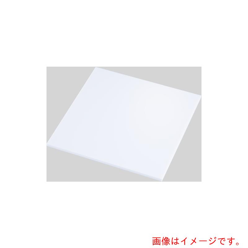 岩田製作所（iwata）　PET板　（白）　5mm　【品番：PEPW-100-100-5】