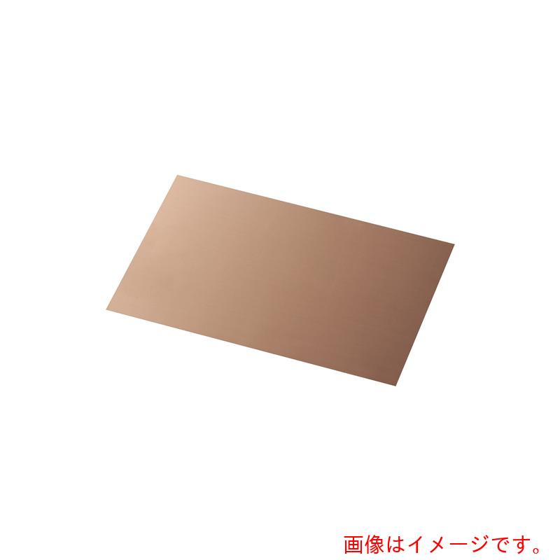 【メール便対応】岩田製作所（iwata）　シムプレートCU　【品番：TC50-250-015】