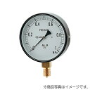 カクダイ 汎用圧力計(Aタイプ) 【品番:649-871-05F】(4)