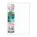 菅公工業 OA和紙「冴」A4 金銀振奉書紙 【品番:リ740】