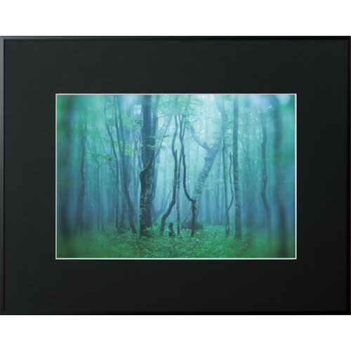 ケンコー・トキナー　Kenko　1250131　アルミ額縁　ギャラリー　W4切　ブラック　AGY−W4−BK　【品番：AGY-W4-BK】(3)