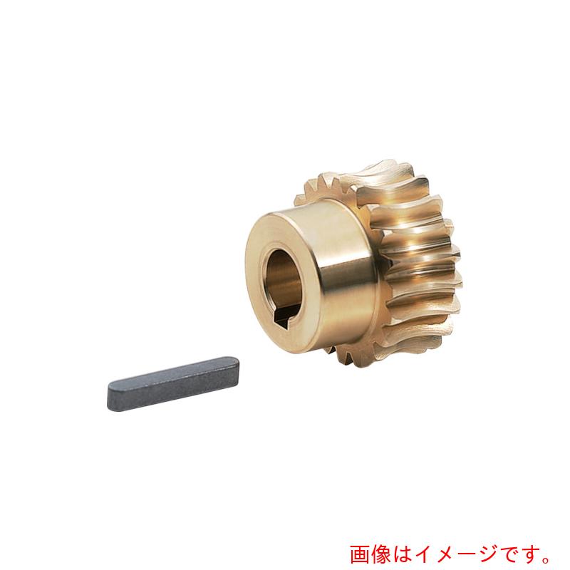 協育歯車工業（KG）　ウォームホイール　G1．5A　40R1＝16　モジュール1．5　圧力角20度（並歯）　【品..