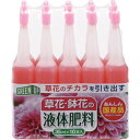 小久保工業所(KOKUBO) 紀陽除虫菊 液体肥料(草花・鉢花用)35ml×10本入 【品番:K-2617】