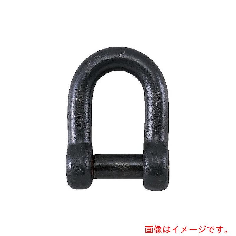 コンドーテック　生地　沈シャックル（共ピン）　呼び22mm　【品番：02104A022】