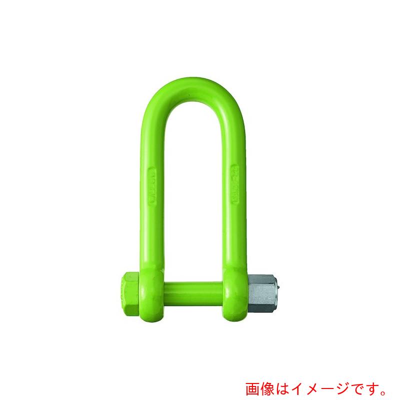 コンドーテック　ハイパー型　強力　長シャックル　22　X　170L　（6．0T）　【品...